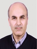 Majid Naghsh Nilchi